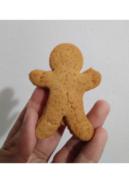 Cortador Galleta Jengibre (Zencefil Çerez Kurabiye Kesici Kalıp Plastik Aparat modelleri