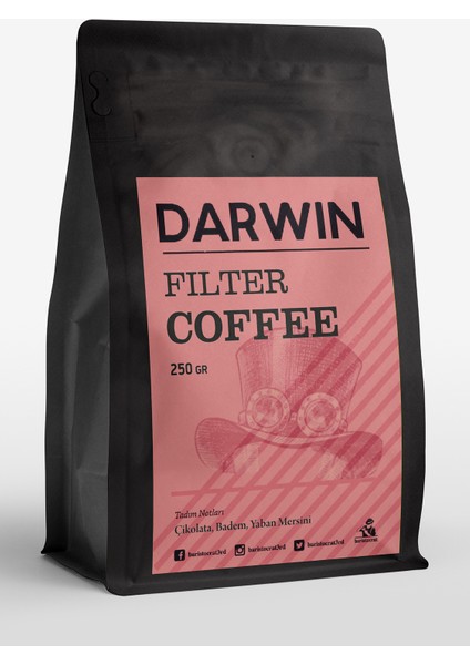 Darwin Filter Blend