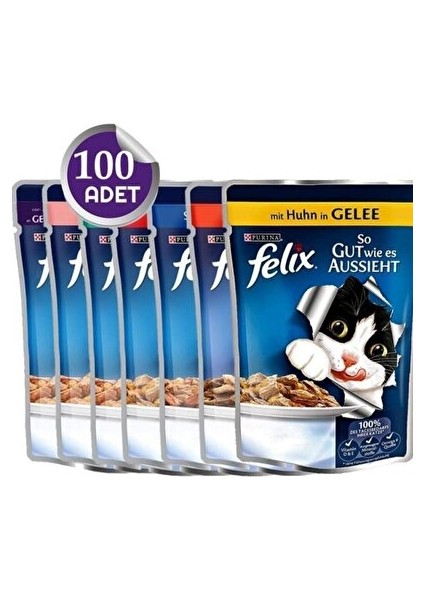 Kedi Yaş Mama Karışık 100 Adet 85gr