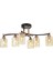 Avonnı AR-60356-6BSY Siyah Boyalı Klasik Avize E14 Metal Cam 32CM 1
