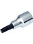 1/4'' Lokmalı Star Torx Uç T27 1