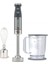 HDM800SI 1000W Triblade Silver Blender Seti 1