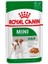 Mini Adult Tavuklu Küçük Irk Köpek Konservesi 85 gr 1