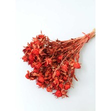 Yapay Çiçek Deposu Kuru Çiçek Kartamus Açık Kırmızı
