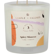 Candle And Friends No.3 Spicy Mimosa Large Cam Mum 320GR.