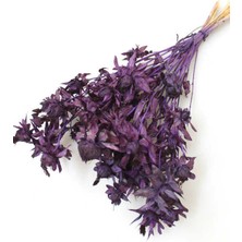 Yapay Çiçek Deposu Kuru Çiçek Kartamus Mor

