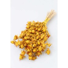 Yapay Çiçek Deposu Kuru Çiçek Kartamus Sarı
