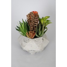 Yapay Çiçek Deposu Lüx Yapay Succulent Masa Çiçeği Tanzimi Elegance
