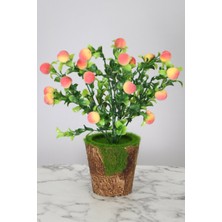 Yapay Çiçek Deposu Dekoratif Yosunlu Saksıda Yapay Şeftali Demeti 30 Cm

