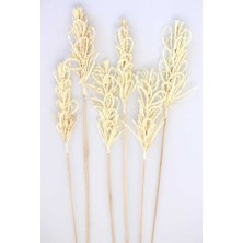 Yapay Çiçek Deposu Doğal Örgü Palm Possy Exotic 6 Adet
