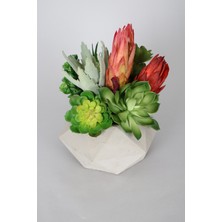 Yapay Çiçek Deposu Lüx Yapay Succulent Masa Çiçeği Tanzimi Premium
