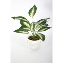 Yapay Çiçek Deposu Beton Saksıda Uzun Yapraklı Yapay Bitki 42 cm Model-13
