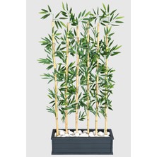 Yapay Çiçek Deposu Islak Yapraklı 6 Çubuklu Gri Saksıda Bambu Seperatör (20X70X155CM)