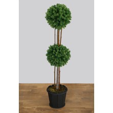 Yapay Çiçek Deposu Ahşap Saksıda 2 Katlı Mini Top Çam 100 Cm
