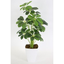 Yapay Çiçek Deposu Melamin Saksıda Yapay 18 Dallı Lüx Şeflera Bitki 70CM (Schefflera) Koyu Yeşil
