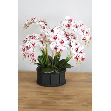 Yapay Çiçek Deposu Dekoratif Ahşap Saksıda 7 Dal Orkide Tanzimi Bordo Benekli
