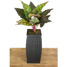 Yapay Çiçek Deposu Yapay Alocasia Bitkisi Ahşap Saksıda 120 cm Yeşil-Kızıl