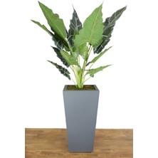 Yapay Çiçek Deposu Yapay Dev Alocasia Bitkisi Ahşap Saksıda 145 cm Yeşil-Gri