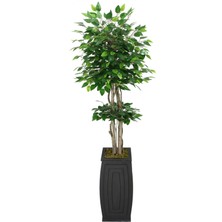 Yapay Çiçek Deposu Uzun Ahşap Saksıda Yapay Benjamin Ağacı 180 cm Yeşil
