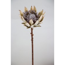 Yapay Çiçek Deposu Yapay Protea Bitkisi 52 cm Ekru
