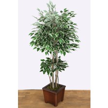 Yapay Çiçek Deposu Starlight Yeşil-Beyaz Bodur Benjamin Yapay Ağacı 135 cm – Dekoratif Salon ve Ofis Bitkisi