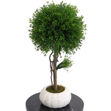 Yapay Çiçek Deposu Dekoratif Lüx Top Ağaç Çam Model 35X60 cm Koyu Yeşil