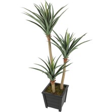 Yapay Çiçek Deposu Yapay 3 Gövdeli Yucca Ağacı Artificial Foilage 150 cm