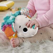 Fisher-Price Sevimli Arkadaşım Kirpi, Ses Çıkaran Dokulu Pelüş Oyuncak, Bebekler Için HBP42