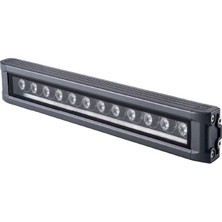 Cata 12W 30CM Günışığı Işık Gold Wallwasher CT-4695