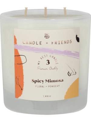 Candle And Friends No.3 Spicy Mimosa Large Cam Mum 320GR.