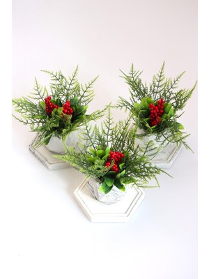 Yapay Çiçek Deposu Tepsili Beton Saksıda 3lü Yeni Yıl Kokina Seti