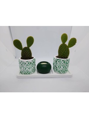 Çobanlar Kadın Kooperatifi Dekoratif Üçlü Saksı Ve Mumluk Kombin