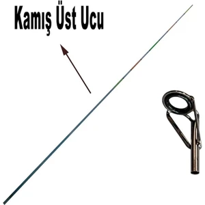 Fish Master Kamışın En Uç Halkası 2 Parça