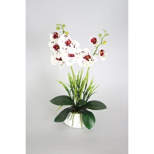 Yapay Çiçek Deposu Dekoratif 2li Mini Yapay Islak Orkide Tanzimi 50 cm Beyaz Benekli
