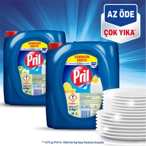 4 kg x 4