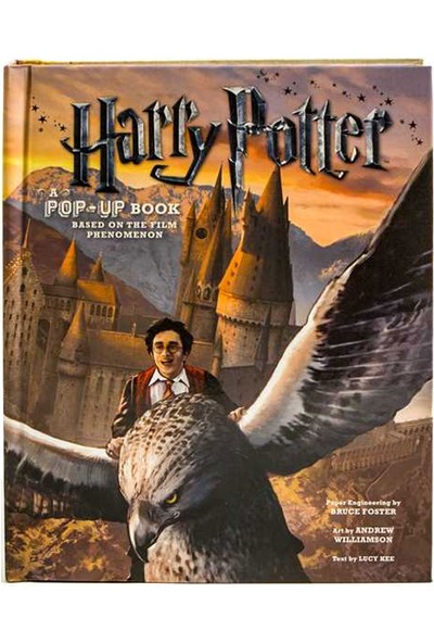 Harry Potter A Pop-Up Book By Andrew Williamson Simon Schuster