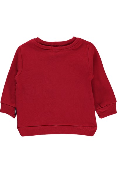 Tuffy Tufyy Erkek Çocuk Sweatshirt 1-4 Yaş Kırmızı
