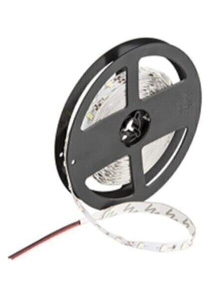 CT-4487 10ç Dış Mekan Beyaz LED Şerit(5 Mt) Cata