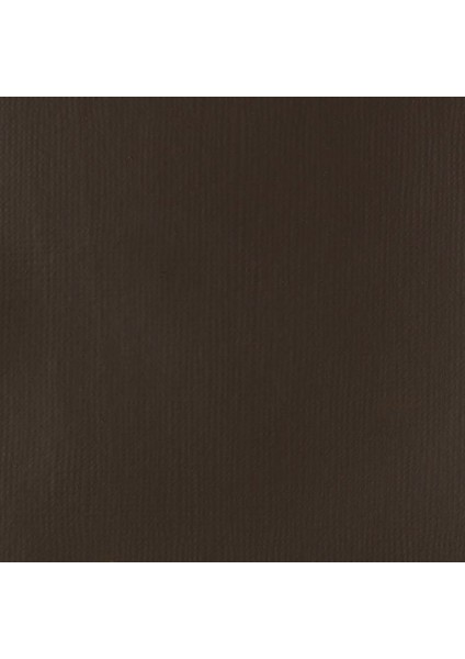 Professional Heavy Body Akrilik Boya 473 ml Burnt Umber 128 S1 fiyatları