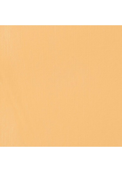 Professional Heavy Body Akrilik Boya 946 ml Ağartılmamış Titanyum 434 S1 fiyatları