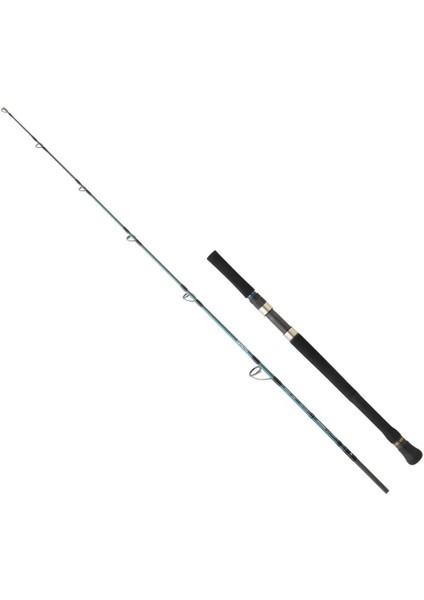 Grandwave 1.68M 60-120 gr 2p Jig Olta Kamışı