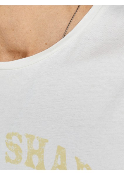 12205684_Jordome Tee Bisiklet Yaka Standart Kalıp Baskılı Kırık Beyaz Erkek T-Shirt modelleri