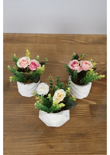 Beton Saksıda Yapay Gül Okaliptus Aranjmanı 3lü Set Beyaz-Açık Pembe