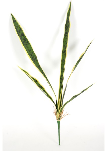 Yapay Peygamber Kılıcı Bitkisi 5 Yapraklı 68 Cm