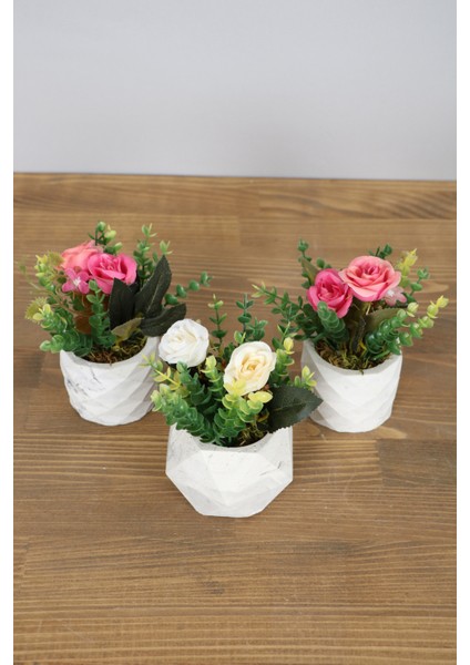Beton Saksıda Yapay Gül Okaliptus Aranjmanı 3lü Set Beyaz-Pembe
