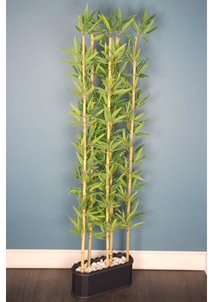 Dekoratif Saksıda Kırçıllı Yaprak 5 Çubuklu Bambu Seperatör (20X50X200CM)