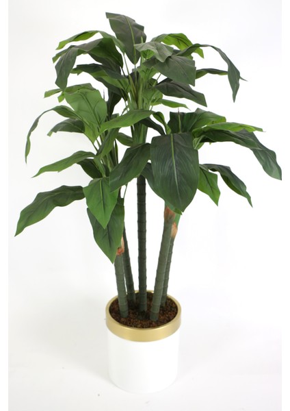 Yapay Kaliteli Ağaç 5 Gövdeli Massengena (Massengena Plant) 150 Cm