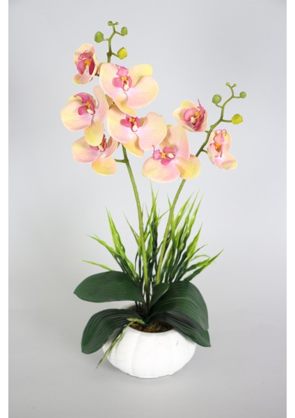 Dekoratif 2li Mini Yapay Islak Orkide Tanzimi 50 cm Somon