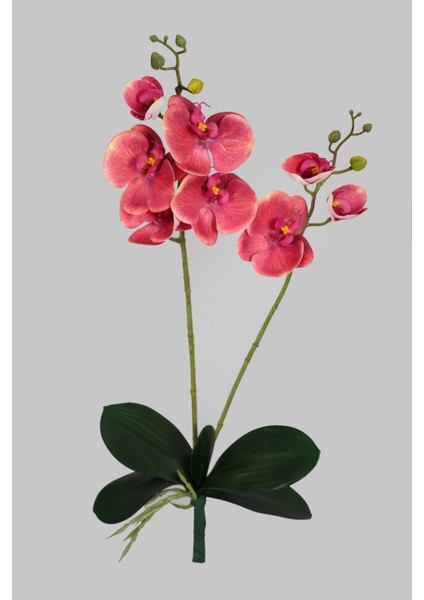 Yapraklı 3D Lüx 2li Islak Orkide Dalı 55 cm Pastel Fuşya