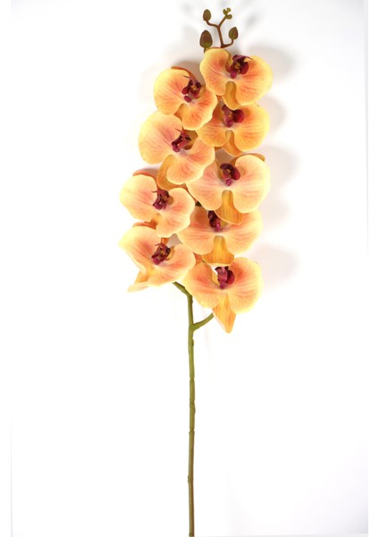 Yapay Islak Dokulu Premium Orkide Çiçeği 97 cm Kavuniçi